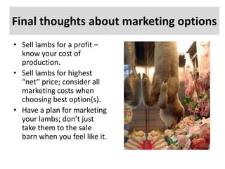 Final thoughts about marketing options
• Sell lambs for a profit –
know your cost of
production.
• Sell lambs for highest
“net” price; consider all
marketing costs when
choosing best option(s).
• Have a plan for marketing
your lambs; don’t just
take them to the sale
barn when you feel like it.

 
