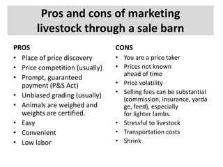 Pros and cons of marketing
livestock through a sale barn
PROS
• Place of price discovery
• Price competition (usually)
• Prompt, guaranteed
payment (P&S Act)
• Unbiased grading (usually)
• Animals are weighed and
weights are certified.
• Easy
• Convenient
• Low labor

CONS
• You are a price taker
• Prices not known
ahead of time
• Price volatility
• Selling fees can be substantial
(commission, insurance, yarda
ge, feed), especially
for lighter lambs.
• Stressful to livestock
• Transportation costs
• Shrink

 