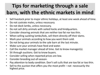 Tips for marketing through a sale
barn, with the ethnic markets in mind
•
•
•
•
•
•
•
•
•
•
•
•
•
•
•

Sell livestock prior to major ethnic holidays, at least one week ahead of time.
Do not castrate males, unless necessary.
Do not dock lambs, unless necessary.
Do not sell dirty animals with soiled hocks and hindquarters.
Consider shearing animals that are neither too fat nor too thin.
When selling suckling lambs/kids, sell them directly off their dams.
Mark your animals according to how you want them sold.
Do not bring your animals to the sale barn at the last minute.
Make sure your animals have feed and water.
Call the market manager ahead of time. Get to know manager(s).
Sit through auctions. Get to know buyers.
Consider selling when reported prices are low.
Consider breeding out-of-season.
Pay attention to body condition. Don’t sell culls that are too fat or too thin.
Sell to the auction that offers you the most profit – not necessarily the
highest price.

 