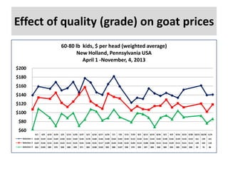 Effect of quality (grade) on goat prices
60-80 lb kids, $ per head (weighted average)
New Holland, Pennsylvania USA
April 1 -November, 4, 2013
$200
$180
$160
$140
$120
$100
$80
$60
4/1

4/8

4/22 4/29

5/6

5/13 5/20 5/27

6/3

6/10 6/17 6/24

7/1

7/8

7/15 7/29

8/5

8/12 8/19 8/26

9/2

9/9

9/16 9/23 9/30 10/21 10/28 11/4

Selection 1 $139 $159 $154 $169 $150 $155 $169 $145 $178 $168 $146 $140 $164 $182 $159 $122 $134 $131 $154 $143 $138 $145 $139 $133 $152

161

139

141

Selection 2 $107 $134 $131 $145 $122 $113 $125 $141 $158 $125 $117 $109 $143 $136 $132 $105 $114 $108 $106 $115 $116 $129 $112 $121 $112

120

102

118

Selection 3

93

76

86

$63

$109

$89

$70

$98

$88

$99

$71

$85

$108 $103

$83

$88

$107

$90

$79

$99

$97

$89

$68

$89

$94

$85

$104

$90

 