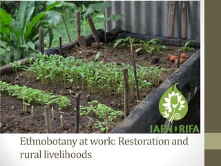 Ethnobotany at work: Restoration and
rural livelihoods

 