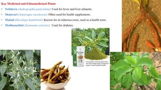 Ethnobotany and Plant used by Tribal Folk communiites of Karnataka_Dr ...