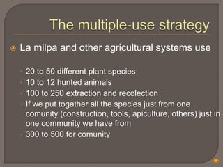 Ethnoecology of Yucatec Mayas | PPTX