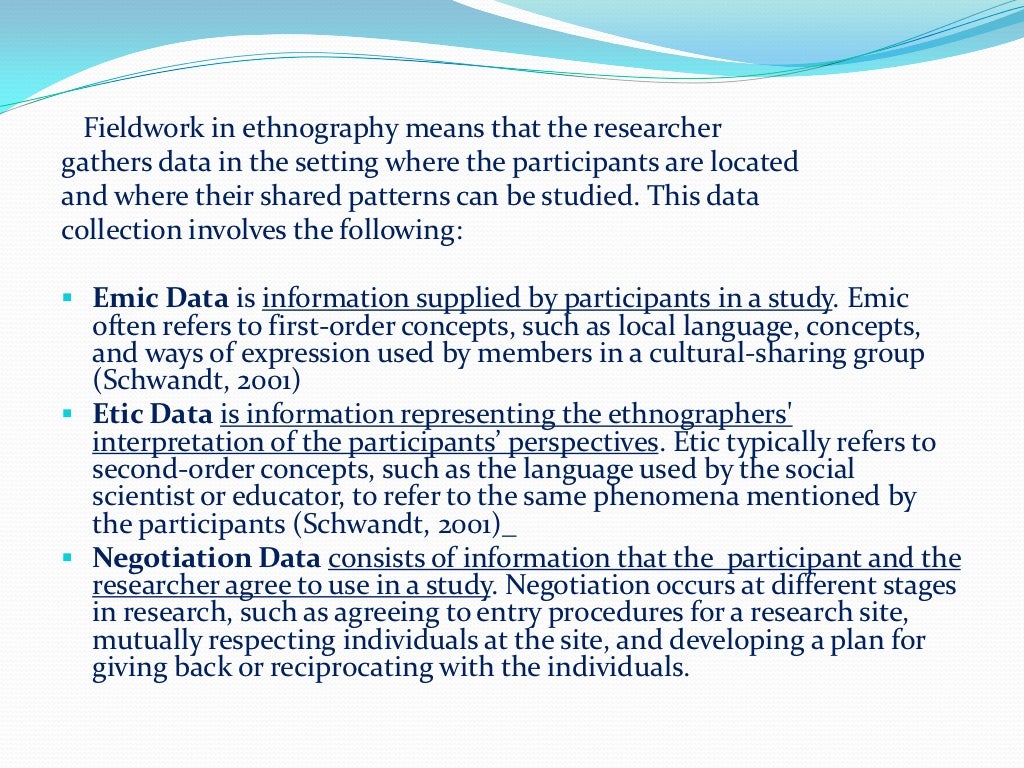 Ethnographic research (2)