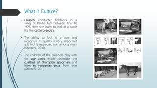 What is Culture?
• Grasseni conducted fieldwork in a
valley of Italian Alps between 1997 to
1999. Here she learnt to look at a cattle
like the cattle breeders.
• The ability to look at a cow and
recognize its quality is very important
and highly respected trait among them
(Grasseni, 2010).
• The children of the breeders play with
the toy cows which resemble the
qualities of champion spaciman and
learn to recognize cows from that
(Grasseni, 2011).
 