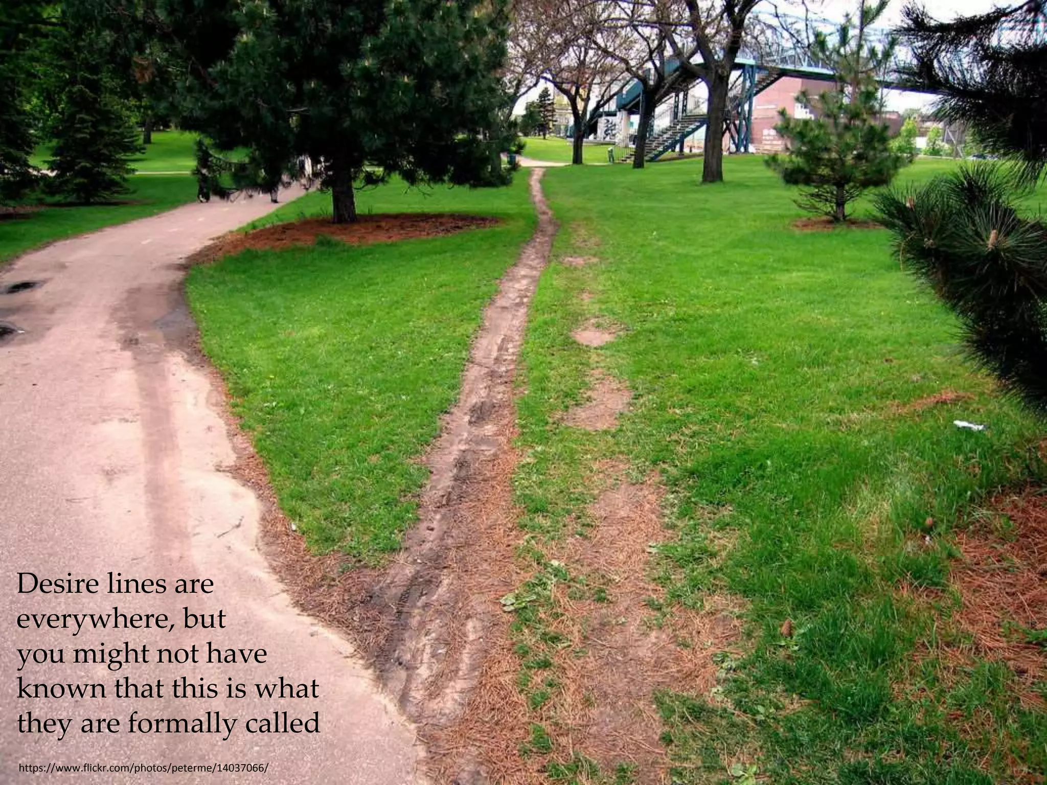 Desire lines are 
everywhere, but 
you might not have 
known that this is what 
they are formally called 
https://www.flickr.com/photos/peterme/14037066/ 
 