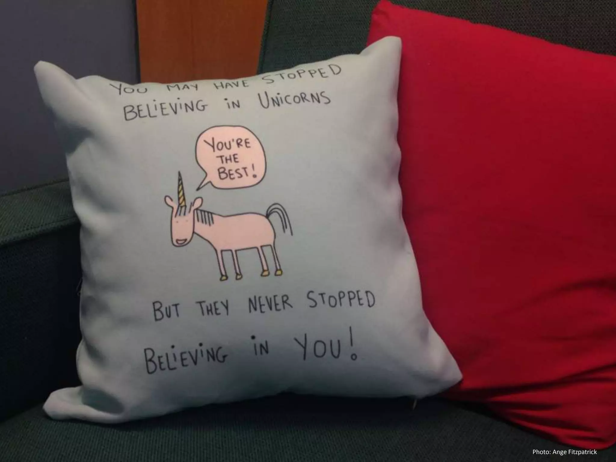 Photo: Ange Fitzpatrick 
 