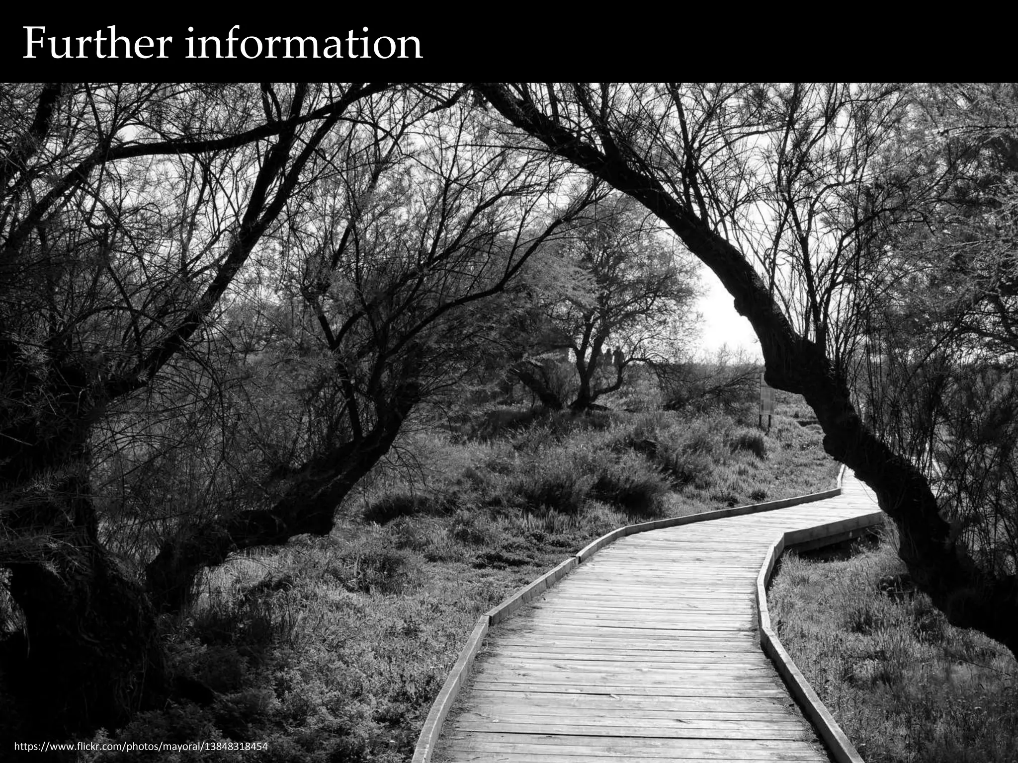 Further information 
More info 
https://www.flickr.com/photos/mayoral/13848318454 
 