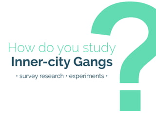 How do you study
Inner-city Gangs
?
• survey research • experiments •
 