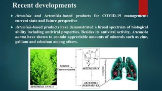 Recent developments
 Artemisia and Artemisia-based products for COVID-19 management:
current state and future perspective
 Artemisia-based products have demonstrated a broad spectrum of biological
ability including antiviral properties. Besides its antiviral activity, Artemisia
annua have shown to contain appreciable amounts of minerals such as zinc,
gallium and selenium among others.
 
