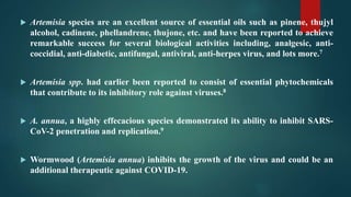  Artemisia species are an excellent source of essential oils such as pinene, thujyl
alcohol, cadinene, phellandrene, thujone, etc. and have been reported to achieve
remarkable success for several biological activities including, analgesic, anti-
coccidial, anti-diabetic, antifungal, antiviral, anti-herpes virus, and lots more.7
 Artemisia spp. had earlier been reported to consist of essential phytochemicals
that contribute to its inhibitory role against viruses.8
 A. annua, a highly effecacious species demonstrated its ability to inhibit SARS-
CoV-2 penetration and replication.9
 Wormwood (Artemisia annua) inhibits the growth of the virus and could be an
additional therapeutic against COVID-19.
 