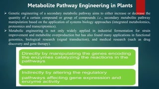  Genetic engineering of a secondary metabolic pathway aims to either increase or decrease the
quantity of a certain compound or group of compounds i.e., secondary metabolite pathway
manipulation based on the application of systems biology approaches (integrated metabolomics,
proteomics and transcriptomics).
 Metabolic engineering is not only widely applied in industrial fermentation for strain
improvement and metabolite overproduction but has also found many applications in functional
genomics, biological research (signal transduction), and medical research (such as drug
discovery and gene therapy).
Metabolite Pathway Engineering in Plants
 