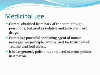 Medicinal use
 Curare, obtained from bark of the stem, though
poisonous, but used as sedative and anticonvulsive
drugs.
 Curare is a powerful paralyzing agent of motor
nerves,active principle curarin used for treatment of
Tetanus and foul ulcers.
 It is dangerously poisonous and used as arrow poison
in Amazon.
 