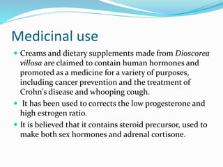Medicinal use
 Creams and dietary supplements made from Dioscorea
villosa are claimed to contain human hormones and
promoted as a medicine for a variety of purposes,
including cancer prevention and the treatment of
Crohn's disease and whooping cough.
 It has been used to corrects the low progesterone and
high estrogen ratio.
 It is believed that it contains steroid precursor, used to
make both sex hormones and adrenal cortisone.
 