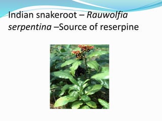 Indian snakeroot – Rauwolfia
serpentina –Source of reserpine
 