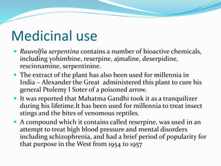 Medicinal use
 Rauvolfia serpentina contains a number of bioactive chemicals,
including yohimbine, reserpine, ajmaline, deserpidine,
rescinnamine, serpentinine.
 The extract of the plant has also been used for millennia in
India – Alexander the Great administered this plant to cure his
general Ptolemy I Soter of a poisoned arrow.
 It was reported that Mahatma Gandhi took it as a tranquilizer
during his lifetime.It has been used for millennia to treat insect
stings and the bites of venomous reptiles.
 A compound which it contains called reserpine, was used in an
attempt to treat high blood pressure and mental disorders
including schizophrenia, and had a brief period of popularity for
that purpose in the West from 1954 to 1957
 