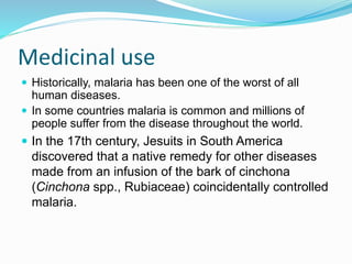 Medicinal use
 Historically, malaria has been one of the worst of all
human diseases.
 In some countries malaria is common and millions of
people suffer from the disease throughout the world.
 In the 17th century, Jesuits in South America
discovered that a native remedy for other diseases
made from an infusion of the bark of cinchona
(Cinchona spp., Rubiaceae) coincidentally controlled
malaria.
 