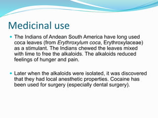 Medicinal use
 The Indians of Andean South America have long used
coca leaves (from Erythroxylum coca, Erythroxylaceae)
as a stimulant. The Indians chewed the leaves mixed
with lime to free the alkaloids. The alkaloids reduced
feelings of hunger and pain.
 Later when the alkaloids were isolated, it was discovered
that they had local anesthetic properties. Cocaine has
been used for surgery (especially dental surgery).
 