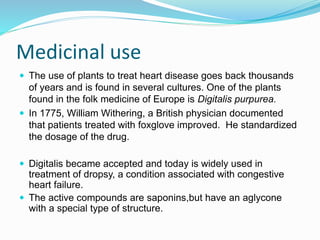 Medicinal use
 The use of plants to treat heart disease goes back thousands
of years and is found in several cultures. One of the plants
found in the folk medicine of Europe is Digitalis purpurea.
 In 1775, William Withering, a British physician documented
that patients treated with foxglove improved. He standardized
the dosage of the drug.
 Digitalis became accepted and today is widely used in
treatment of dropsy, a condition associated with congestive
heart failure.
 The active compounds are saponins,but have an aglycone
with a special type of structure.
 