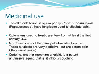Medicinal use
 The alkaloids found in opium poppy, Papaver somniferum
(Papaveraceae), have long been used to alleviate pain.
 Opium was used to treat dysentery from at least the first
century B.C.
 Morphine is one of the principal alkaloids of opium.
These alkaloids are very addictive, but are potent pain
killers (analgesics).
 Codeine, another morphine alkaloid, is a potent
antitussive agent, that is, it inhibits coughing.
 