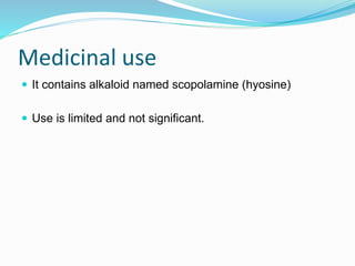 Medicinal use
 It contains alkaloid named scopolamine (hyosine)
 Use is limited and not significant.
 