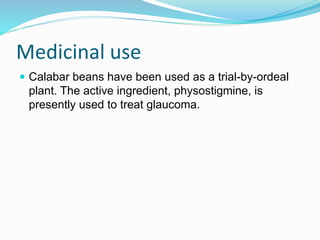 Medicinal use
 Calabar beans have been used as a trial-by-ordeal
plant. The active ingredient, physostigmine, is
presently used to treat glaucoma.
 