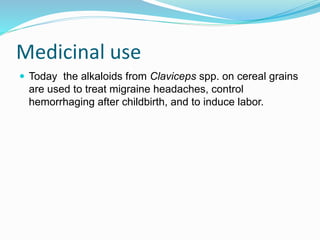 Medicinal use
 Today the alkaloids from Claviceps spp. on cereal grains
are used to treat migraine headaches, control
hemorrhaging after childbirth, and to induce labor.
 