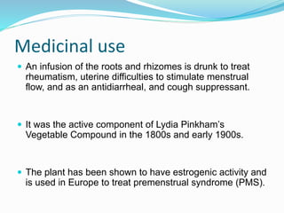Medicinal use
 An infusion of the roots and rhizomes is drunk to treat
rheumatism, uterine difficulties to stimulate menstrual
flow, and as an antidiarrheal, and cough suppressant.
 It was the active component of Lydia Pinkham’s
Vegetable Compound in the 1800s and early 1900s.
 The plant has been shown to have estrogenic activity and
is used in Europe to treat premenstrual syndrome (PMS).
 