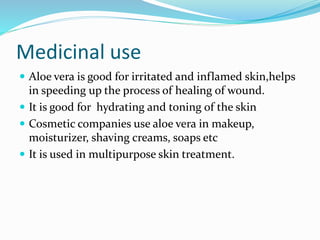 Medicinal use
 Aloe vera is good for irritated and inflamed skin,helps
in speeding up the process of healing of wound.
 It is good for hydrating and toning of the skin
 Cosmetic companies use aloe vera in makeup,
moisturizer, shaving creams, soaps etc
 It is used in multipurpose skin treatment.
 