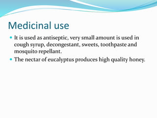 Medicinal use
 It is used as antiseptic, very small amount is used in
cough syrup, decongestant, sweets, toothpaste and
mosquito repellant.
 The nectar of eucalyptus produces high quality honey.
 