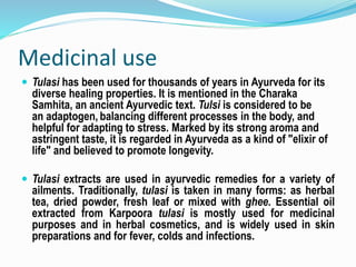 Medicinal use
 Tulasi has been used for thousands of years in Ayurveda for its
diverse healing properties. It is mentioned in the Charaka
Samhita, an ancient Ayurvedic text. Tulsi is considered to be
an adaptogen, balancing different processes in the body, and
helpful for adapting to stress. Marked by its strong aroma and
astringent taste, it is regarded in Ayurveda as a kind of "elixir of
life" and believed to promote longevity.
 Tulasi extracts are used in ayurvedic remedies for a variety of
ailments. Traditionally, tulasi is taken in many forms: as herbal
tea, dried powder, fresh leaf or mixed with ghee. Essential oil
extracted from Karpoora tulasi is mostly used for medicinal
purposes and in herbal cosmetics, and is widely used in skin
preparations and for fever, colds and infections.
 