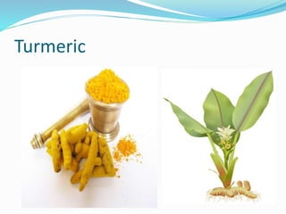 Turmeric
 