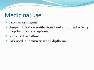 Medicinal use
 Laxative, astringent
 Unripe fruits show antibacterial and antifungal activity
in opthalmia and eruptions
 Seeds used in asthma
 Bark used in rheumatism and diptheria.
 