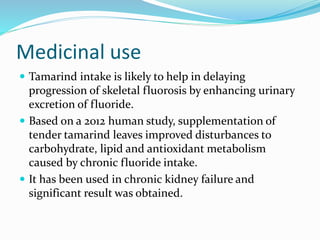 Medicinal use
 Tamarind intake is likely to help in delaying
progression of skeletal fluorosis by enhancing urinary
excretion of fluoride.
 Based on a 2012 human study, supplementation of
tender tamarind leaves improved disturbances to
carbohydrate, lipid and antioxidant metabolism
caused by chronic fluoride intake.
 It has been used in chronic kidney failure and
significant result was obtained.
 