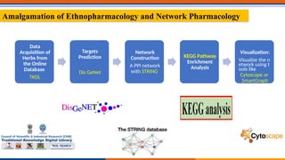 ETHNOPHRMACOLOGY-PAYAAM VOHRA-NIPER MOHALI PPT.pptx