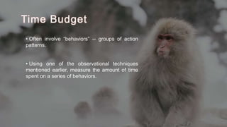 Time Budget
• Often involve “behaviors” -- groups of action
patterns.
• Using one of the observational techniques
mentioned earlier, measure the amount of time
spent on a series of behaviors.
 