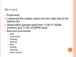 Ethogram | PPTX