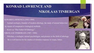 KONRAD LAWRENCE AND
NIKOLAAS TINBERGAN
KONARD LAWRENCE (1903-1989)
• Animal zoologist, founder of modern ethology, the study of animal behaviour
by means of comparative zoological methods.
• Know as “The Father Of Ethology”.
NIKOLAAS TINBERGAN (1907- 1988)
• Nikolaas, a zoologist, animal psychologist, and pioneer in the field of ethology.
• He is well known for his studies of stimulus response in wasps, fishes.
 