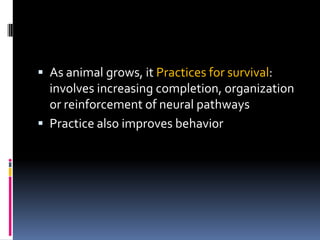  As animal grows, it Practices for survival:
  involves increasing completion, organization
  or reinforcement of neural pathways
 Practice also improves behavior
 