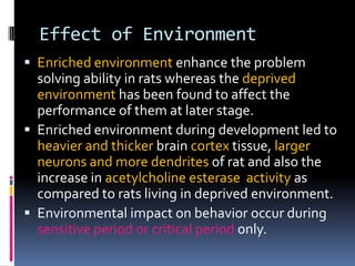 Effect of Environment
 Enriched environment enhance the problem
  solving ability in rats whereas the deprived
  environment has been found to affect the
  performance of them at later stage.
 Enriched environment during development led to
  heavier and thicker brain cortex tissue, larger
  neurons and more dendrites of rat and also the
  increase in acetylcholine esterase activity as
  compared to rats living in deprived environment.
 Environmental impact on behavior occur during
  sensitive period or critical period only.
 