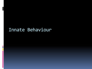 Innate Behaviour
 