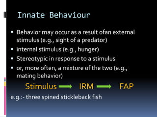 Innate Behaviour
 Behavior may occur as a result ofan external
  stimulus (e.g., sight of a predator)
 internal stimulus (e.g., hunger)
 Stereotypic in response to a stimulus
 or, more often, a mixture of the two (e.g.,
  mating behavior)
     Stimulus              IRM           FAP
e.g.:- three spined stickleback fish
 