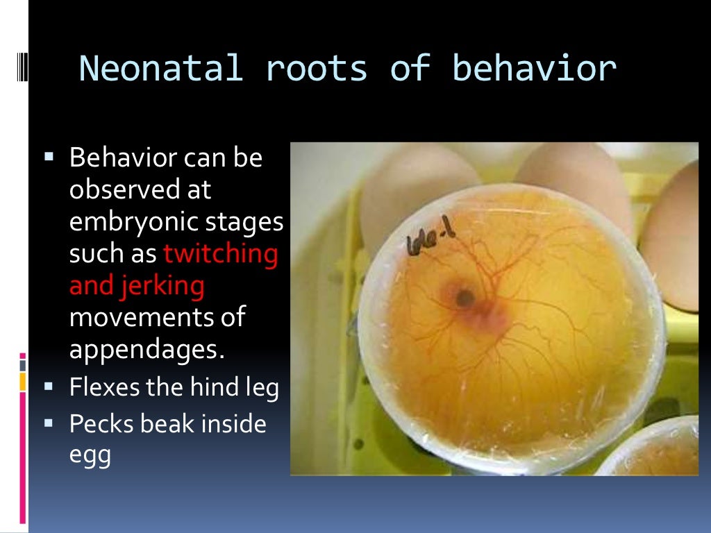 Ethology Development of Animal Behavior