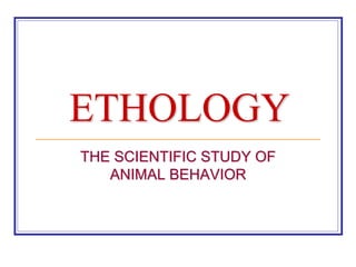ETHOLOGY
THE SCIENTIFIC STUDY OF
ANIMAL BEHAVIOR
 