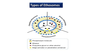 Types of Ethosomes
 