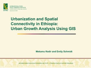 Urbanization and Spatial
Connectivity in Ethiopia:
Urban Growth Analysis Using GIS




                                Mekamu Kedir and Emily Schmidt



INTERNATIONAL FOOD POLICY RESEARCH INSTITUTE • ETHIOPIAN DEVELOPMENT RESEARCH INSTITUTE
         INTERNATIONAL FOOD POLICY RESEARCH INSTITUTE – ETHIOPIA STRATEGY SUPPORT PROGRAM
 