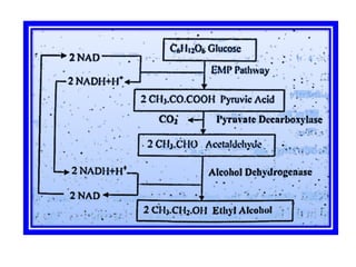INDUSTRIAL PRODUCTION OF ETHYL ALCOHOL
FROM WASTE SULPHITE LIQUOR
 Sulphite liquor is produced as a waste product in
the ...