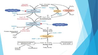 pharmacology of alcohol | PPTX