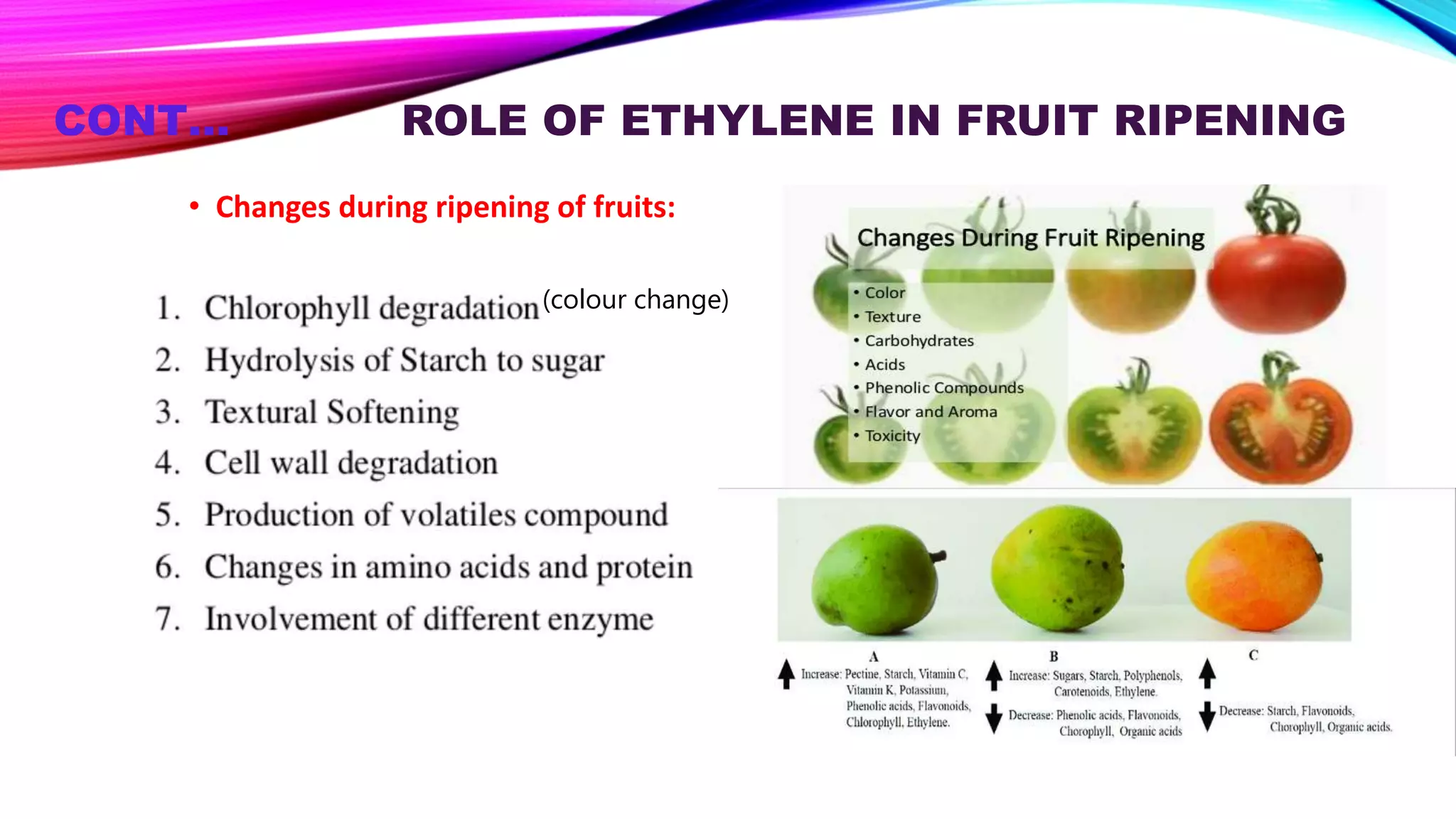 Ethylene | PPTX
