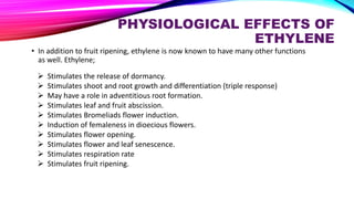 PHYSIOLOGICAL EFFECTS OF
ETHYLENE
• In addition to fruit ripening, ethylene is now known to have many other functions
as well. Ethylene;
 Stimulates the release of dormancy.
 Stimulates shoot and root growth and differentiation (triple response)
 May have a role in adventitious root formation.
 Stimulates leaf and fruit abscission.
 Stimulates Bromeliads flower induction.
 Induction of femaleness in dioecious flowers.
 Stimulates flower opening.
 Stimulates flower and leaf senescence.
 Stimulates respiration rate
 Stimulates fruit ripening.
 